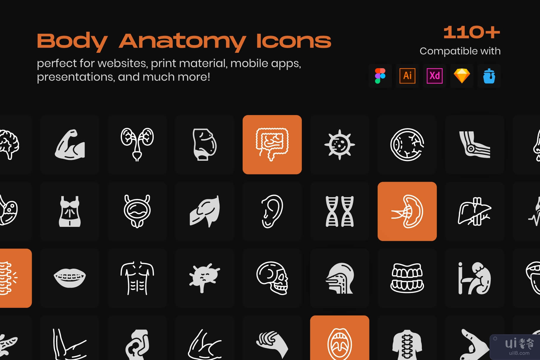 身体解剖线图标包(Body Anatomy Line Icons Pack)插图7