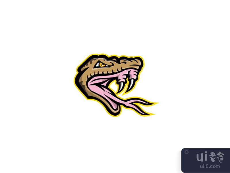 Angry Okinawa Habu Snake Head Mascot