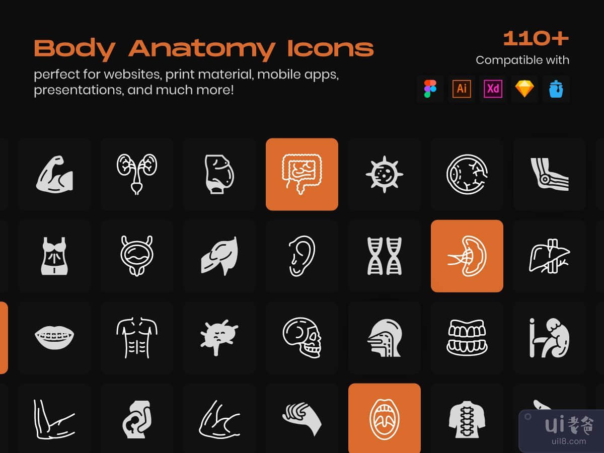 Body Anatomy Line Icons Pack 