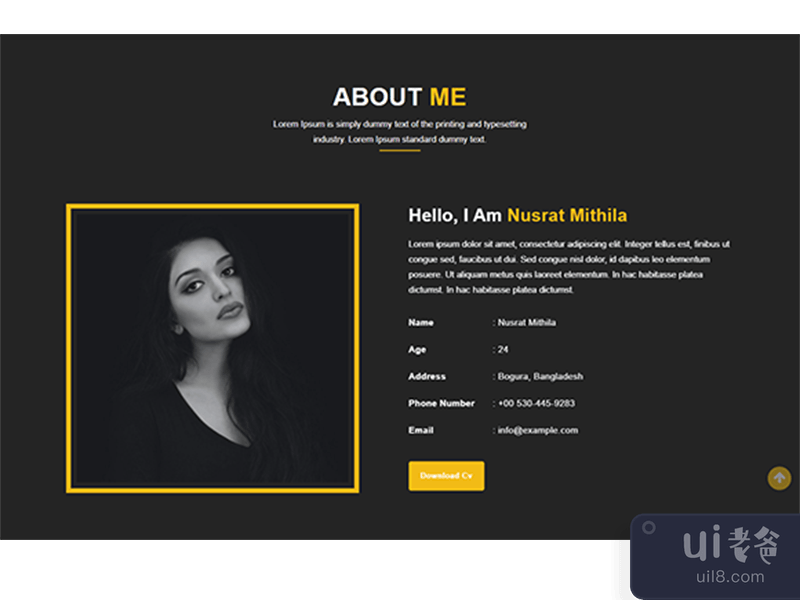 About Us Page Template Design