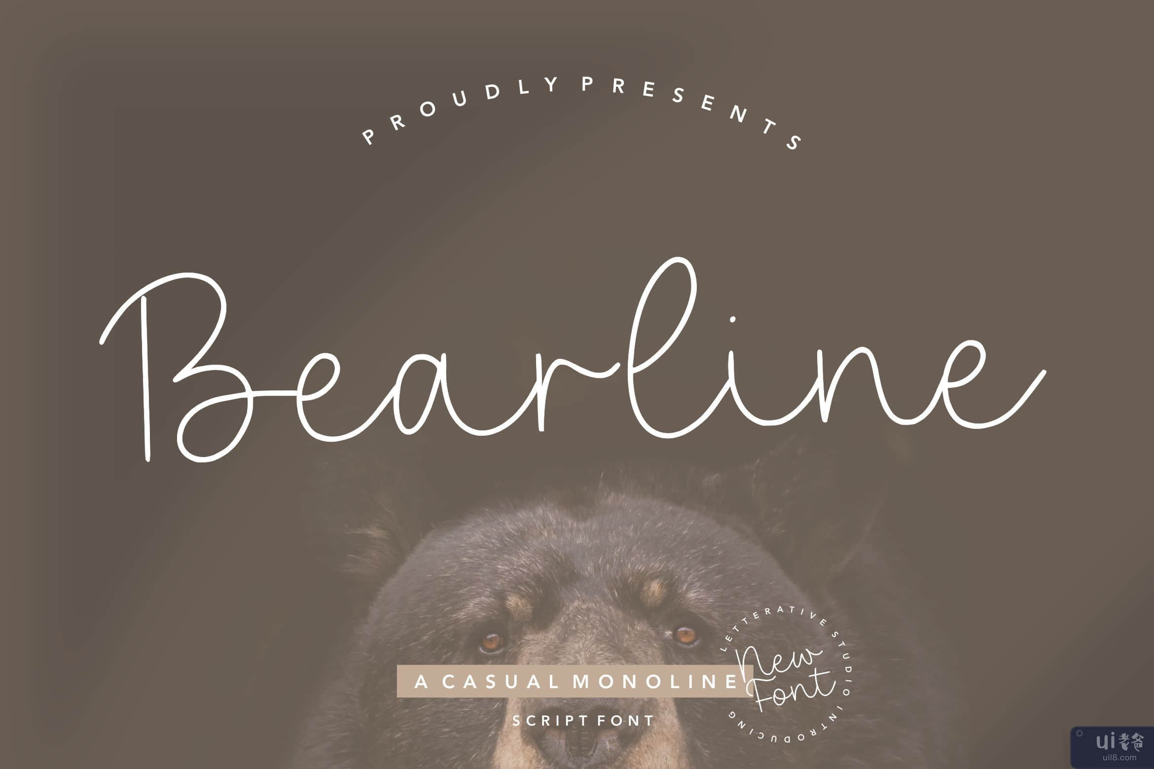 Bearline 是一种休闲的 Monoline Script 字体(Bearline is a Casual Monoline Script Font)插图3