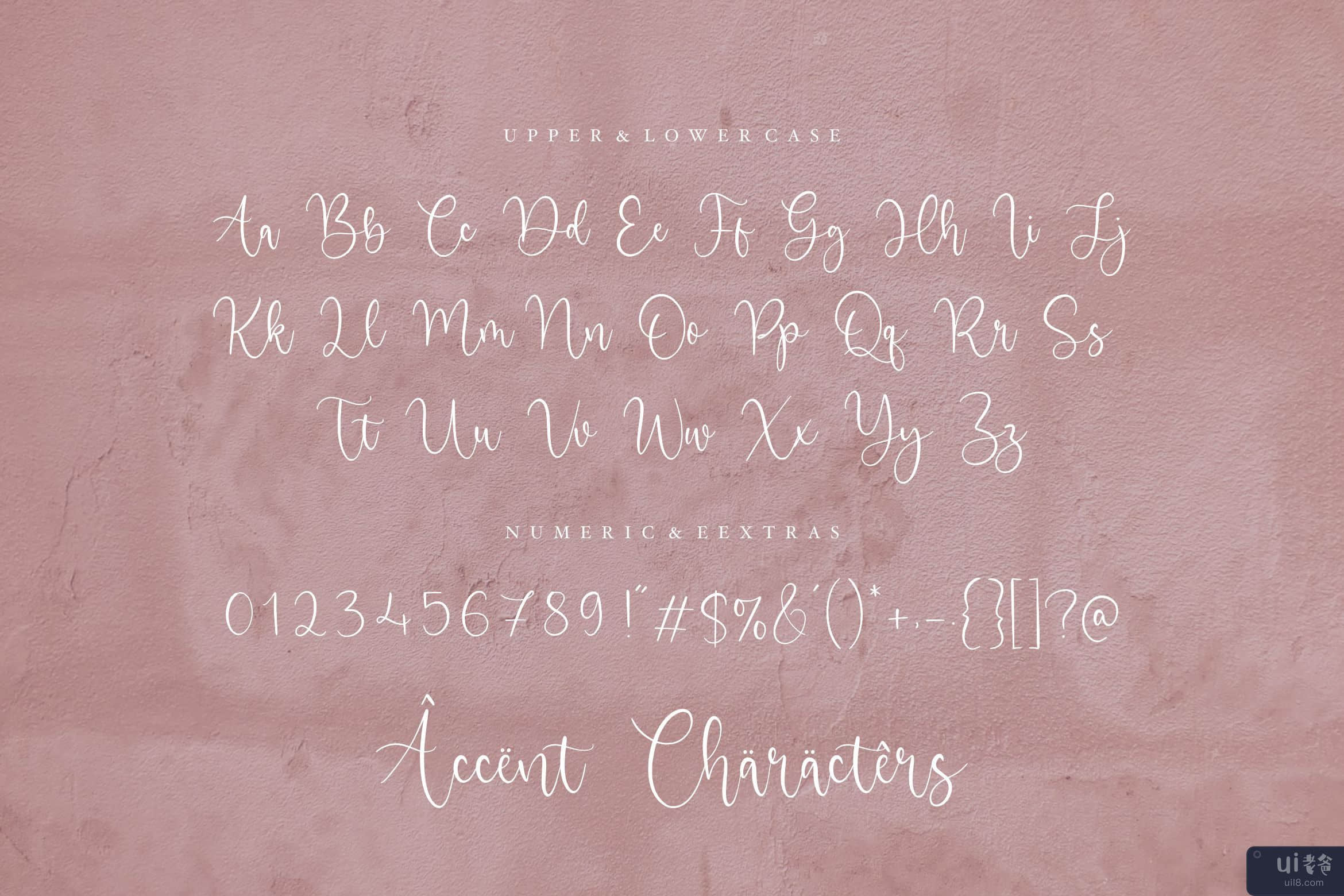 Angelic Matilda 美丽的现代书法字体(Angelic Matilda Beautiful Modern Calligraphy Font)插图4