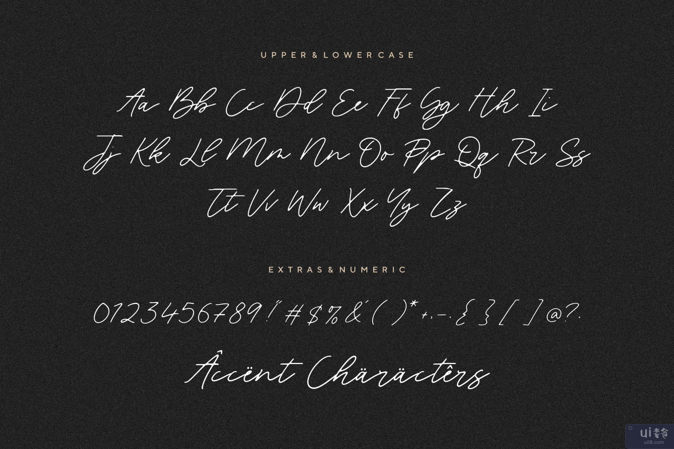 Blackswan Monoline Signature 字体(Blackswan Monoline Signature Font)插图3