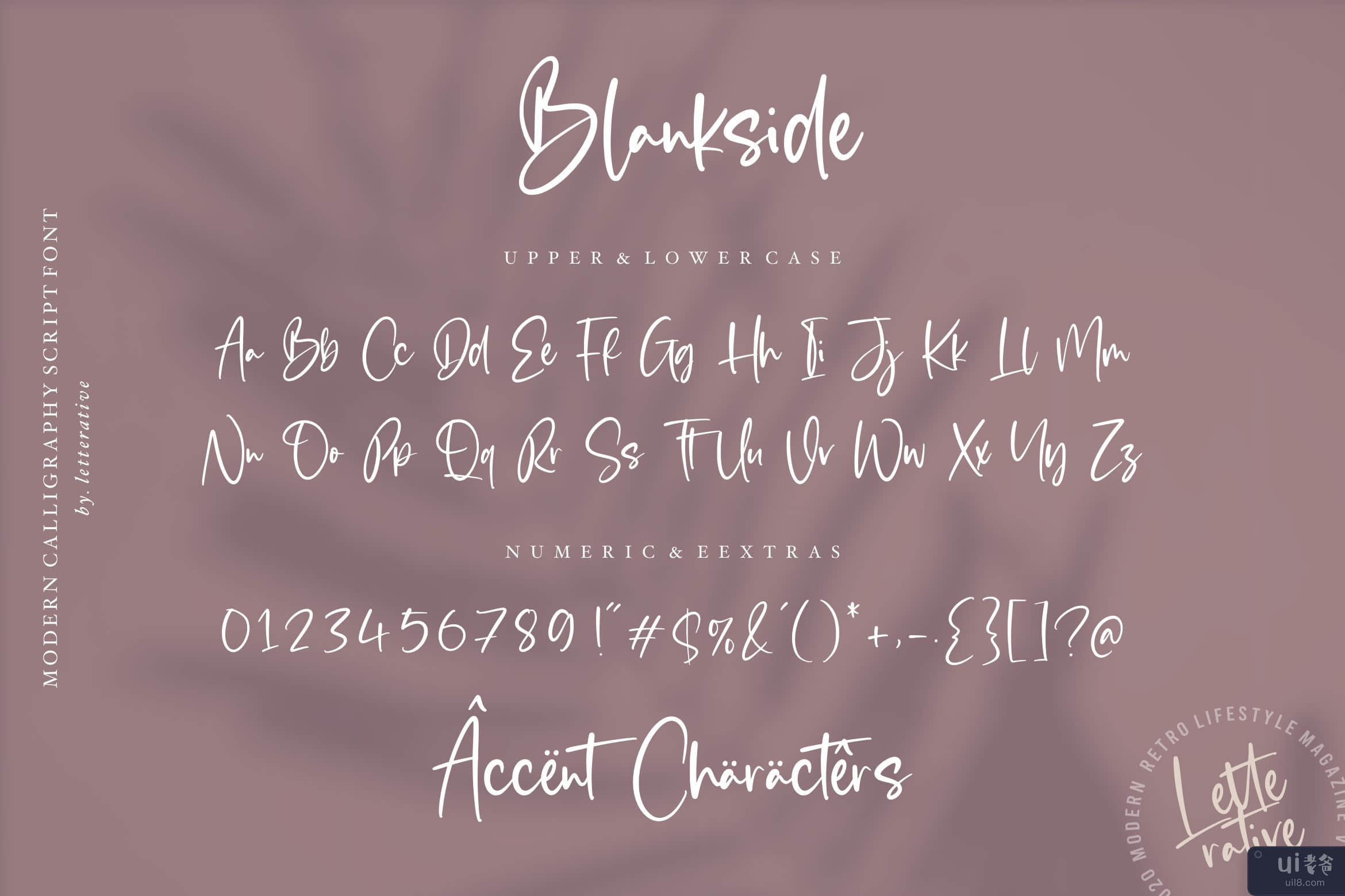 Blankside 是一种现代书法字体(Blankside is a Modern Calligraphy Font)插图7