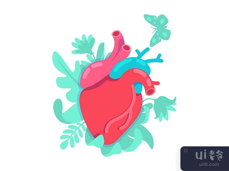 Anatomical heart flat concept vector illustration