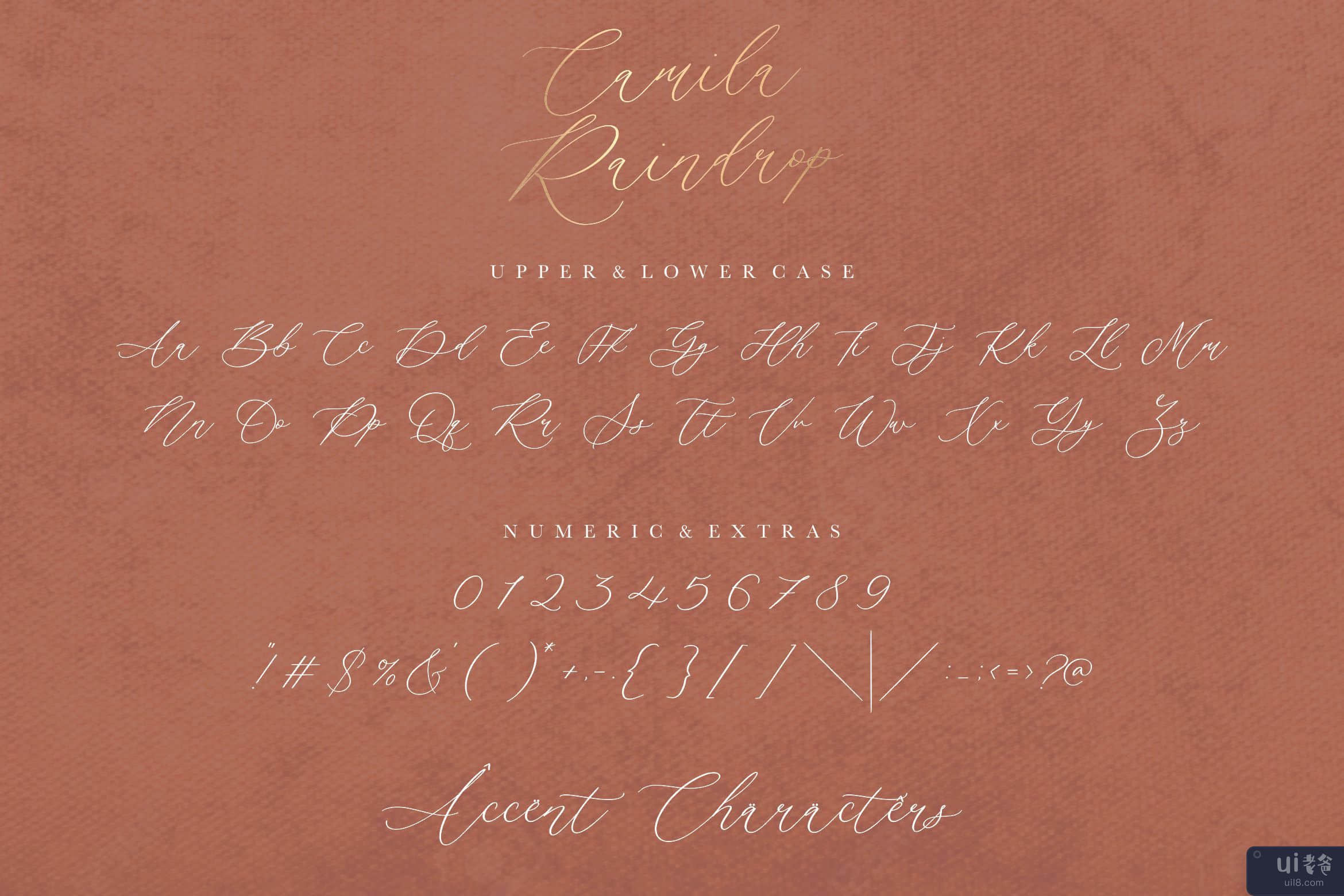 Camila Raindrop 是一款优雅的现代书法字体(Camila Raindrop is a Elegant Modern Calligraphy Font)插图2