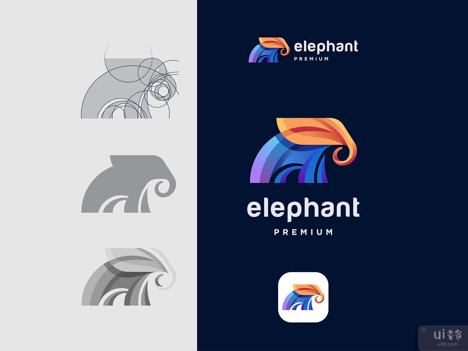 Colorful elephant logo template