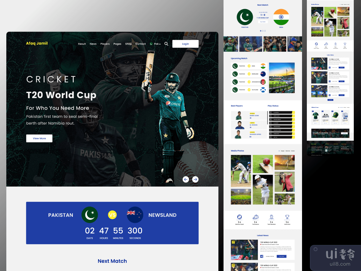 Cricket Website