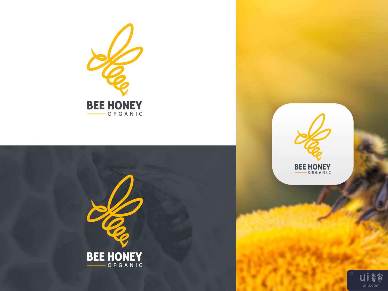 Bee Honey🍯 Organic Branding Shot✨