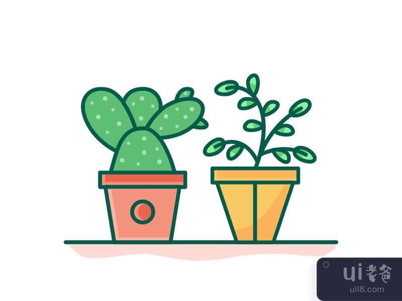 Cactus and Green Plant