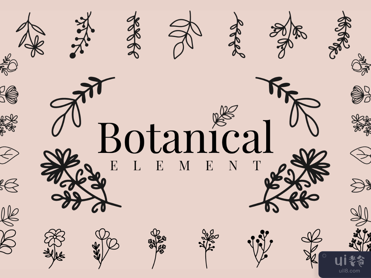 50 Vector Line Art Botanical Elements