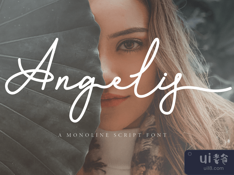 Angelis A Monoline Script Font
