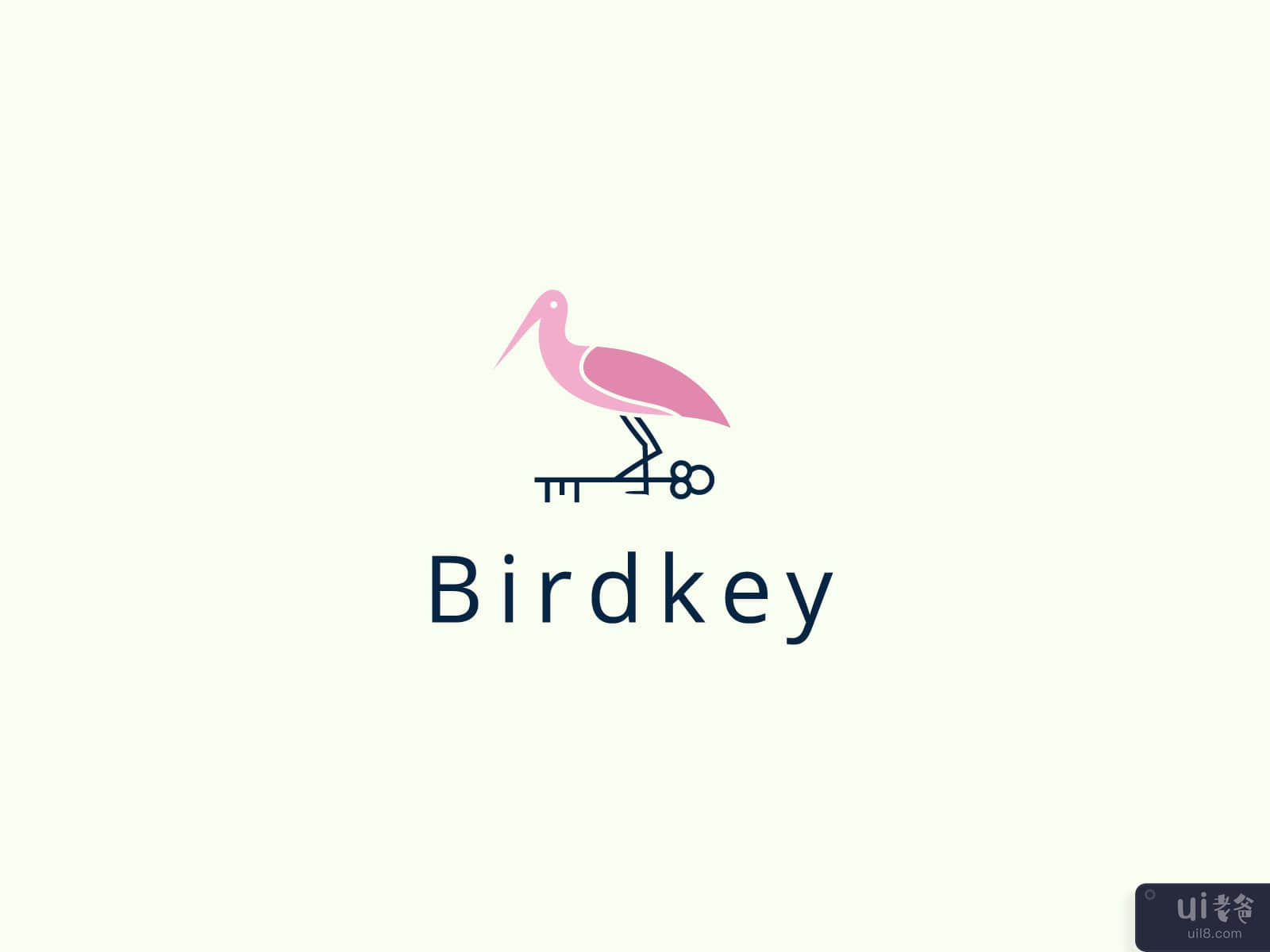 Bird key , Logo Design, Modern Logo