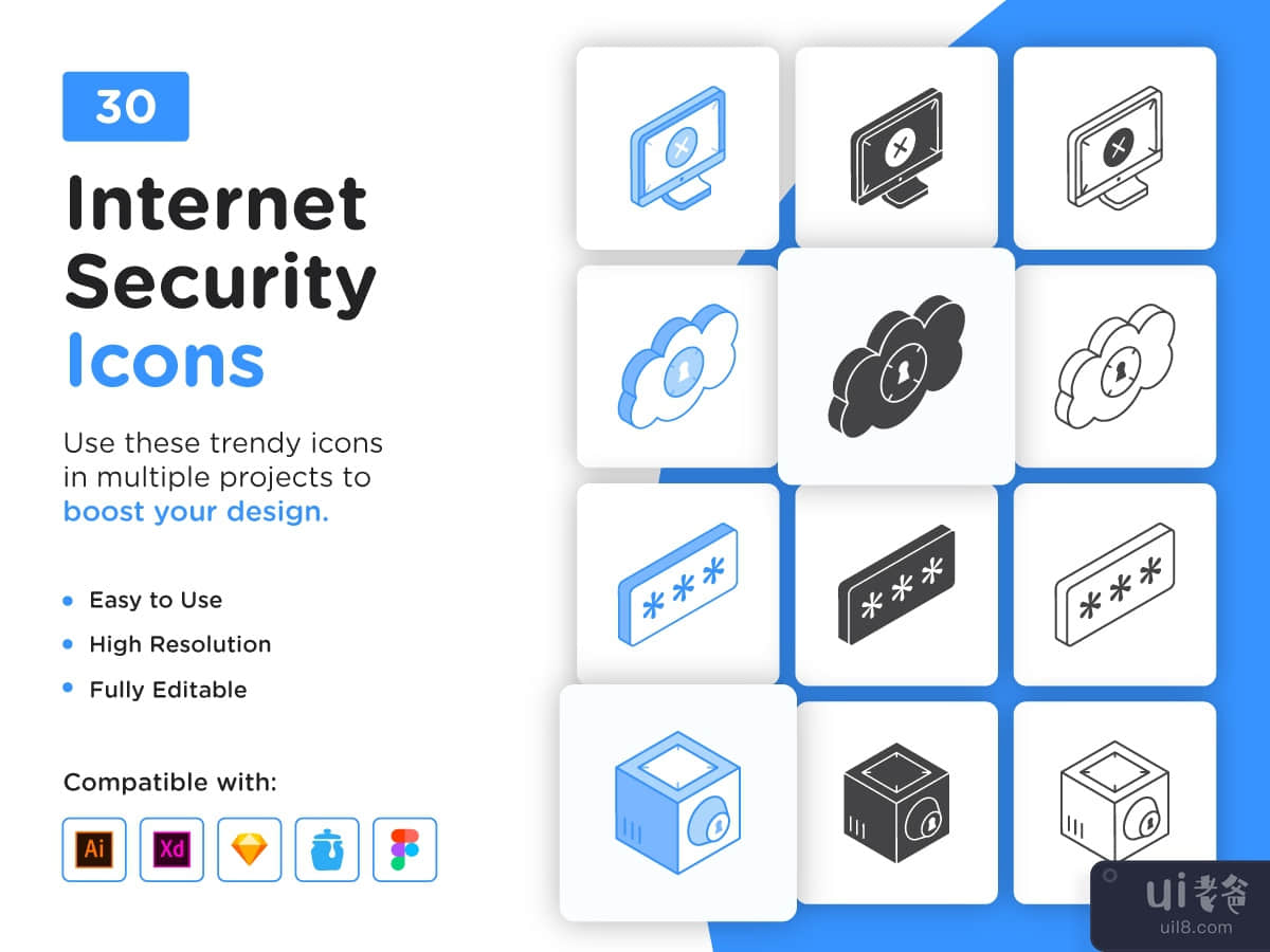 30 Cyber And Internet Security Icons 