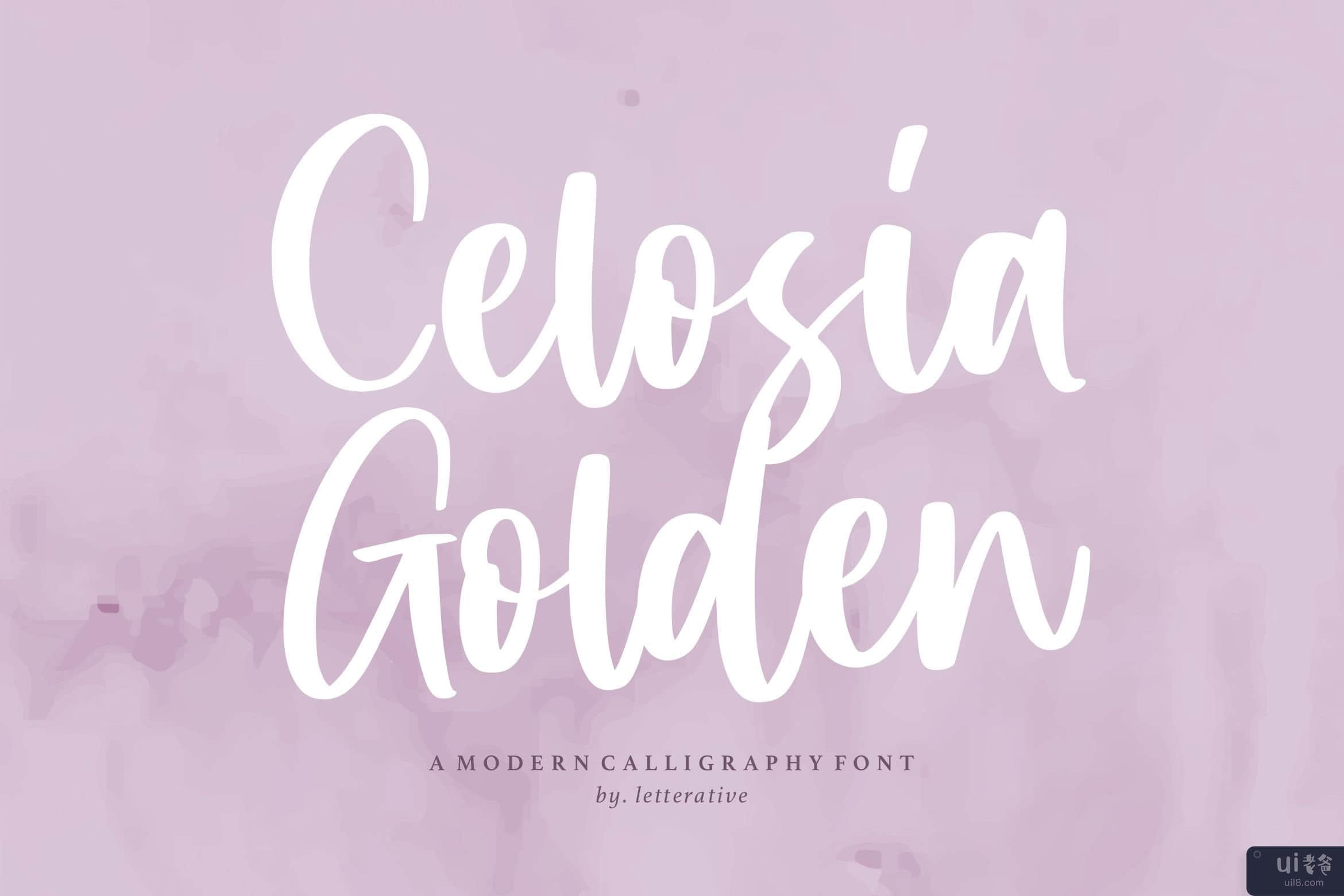 Celosia Golden 是一种现代书法字体(Celosia Golden is a Modern Calligraphy Font)插图3