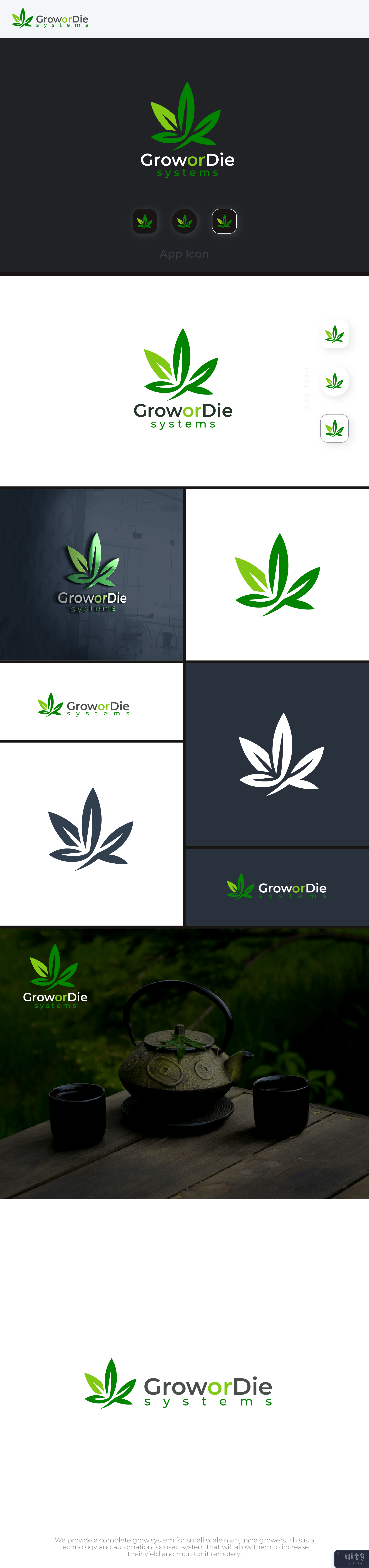 大麻标志设计(Cannabis Logo Design)插图2