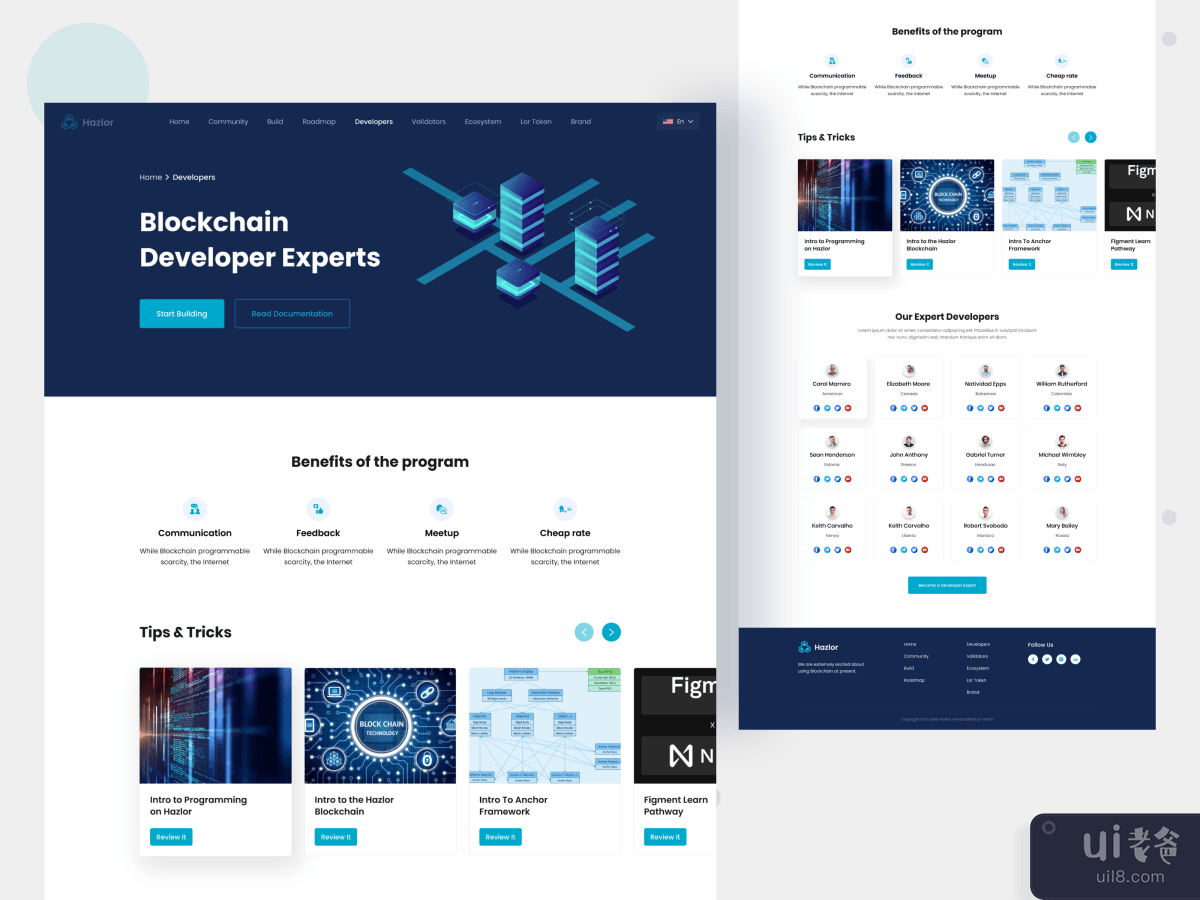 Crypto Landing page ( Developers page )