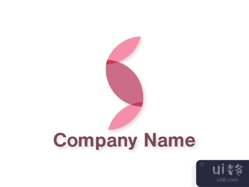 Company Logo Design 4