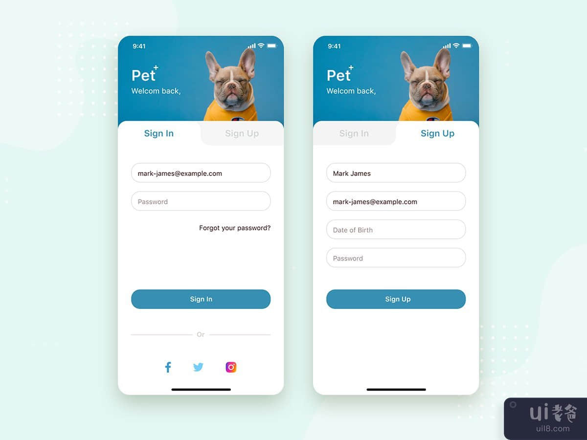 Authentication Form mobile UI Concept
