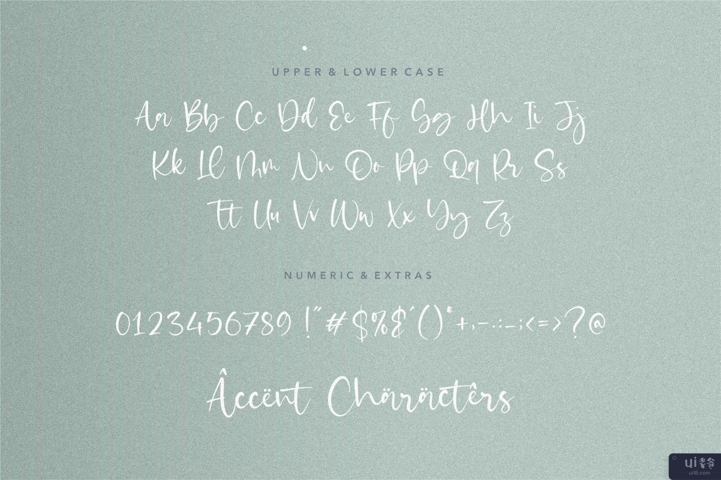 Castilla 美丽的现代手绘字体(Castilla Beautiful Modern Handdrawn Font)插图4