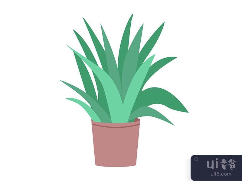 Aloe vera plant in pot semi flat color vector object