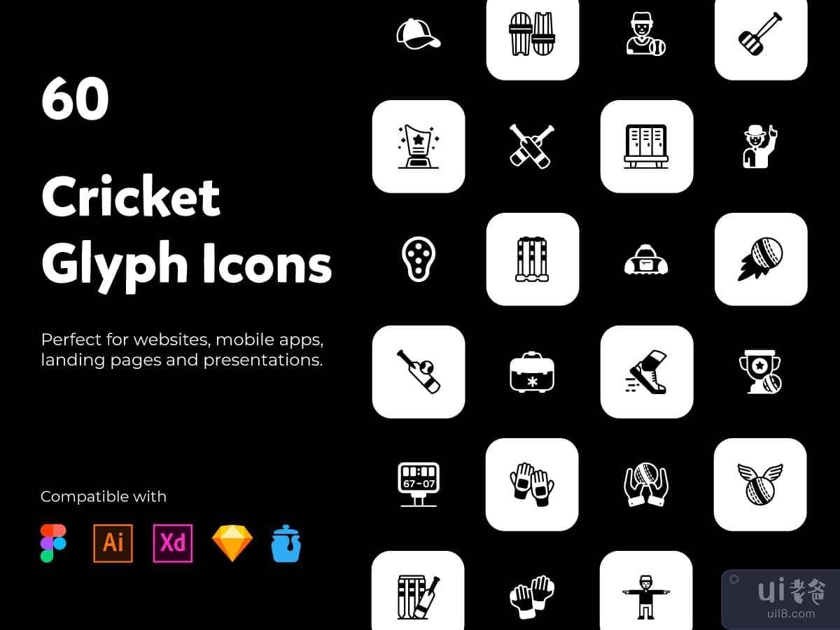60 Cricket Equipment Glyph Icons