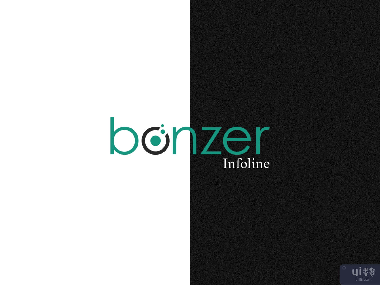 Bonzer✨ Infoline Branding Shot💻
