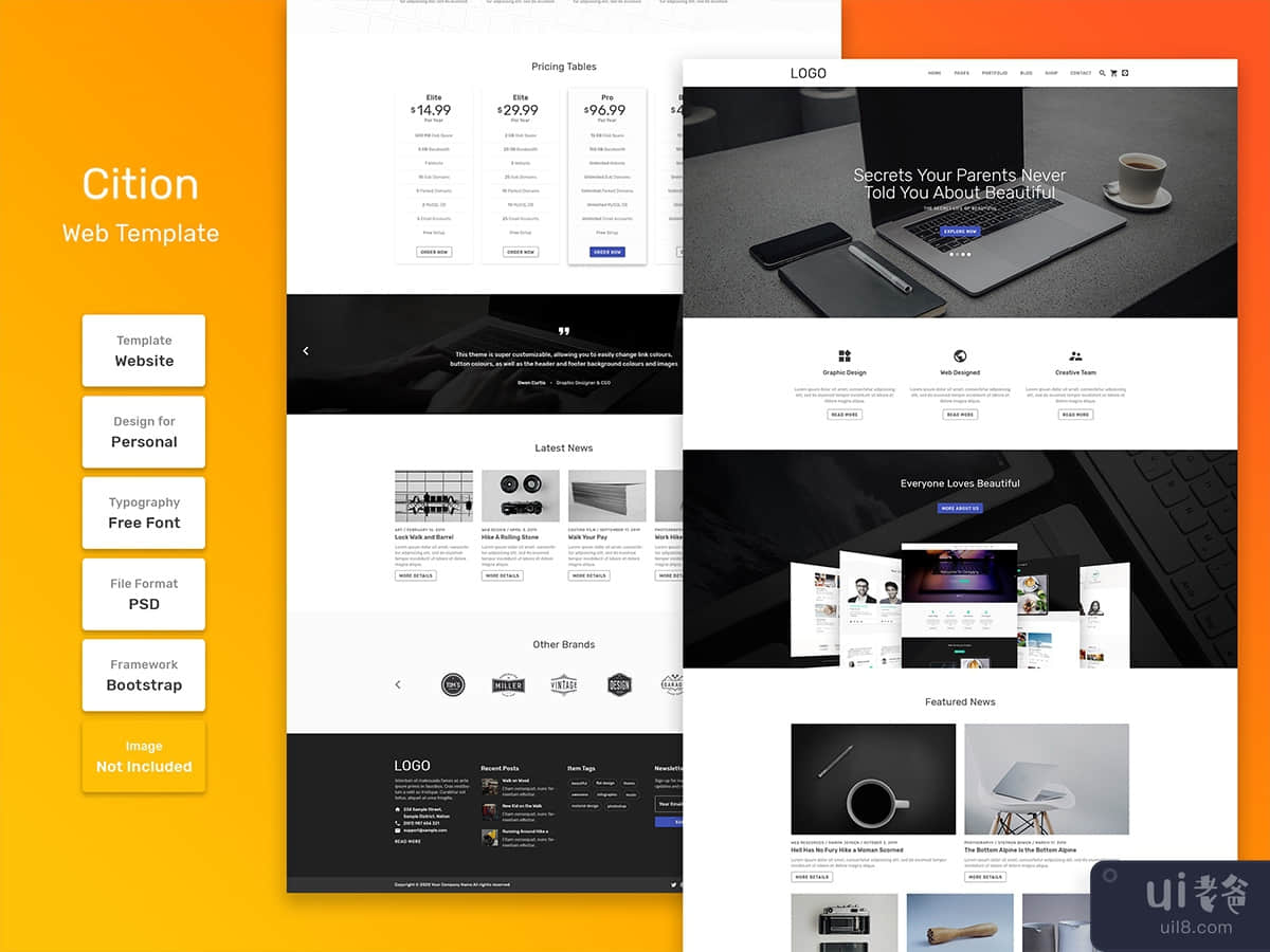 Cition business agency web template